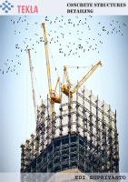 TEKLA.pdf